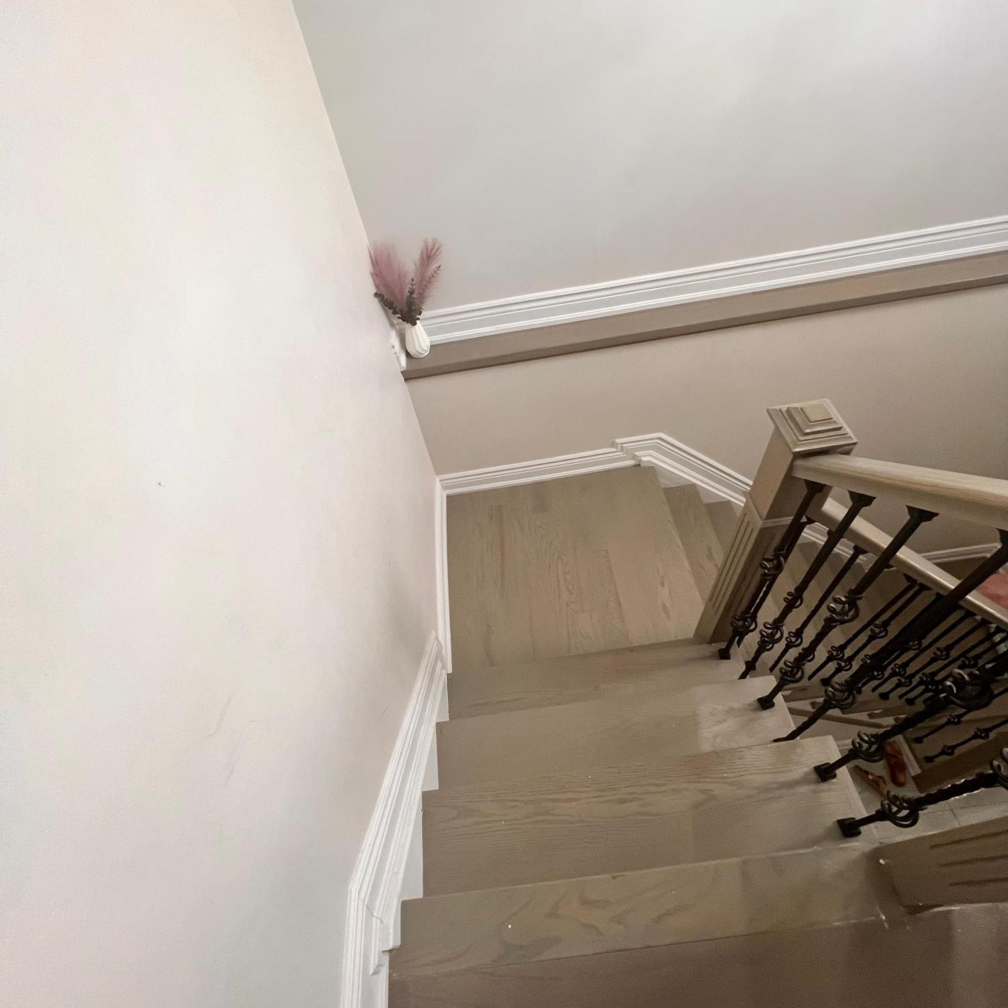Homestay Cozy 1bedroom Basement *